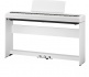 ES120 + PACK STAND WHITE