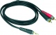 AY7-0100 Mini Jack - 2 RCA 1 M