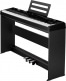 NPK-20 + STAND WITH TRIPLE PEDALS BLACK