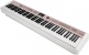 NPK-20 WH
