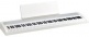 B2 Blanc Pack Stand