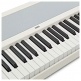 B2 WHITE PACK STAND