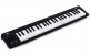 Microkey Air 49