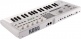 Microkorg MK2 White