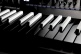 Minilogue XD Reverse Edition - Stock B