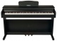 DP2 Black
