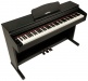 DP2 Black