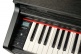 DP2 Black