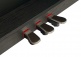 DP2 Black