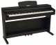DP2 Black