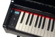 DP2 Black Gloss