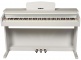 DP2 White