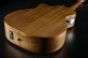 HyVibe 2 Serie 10 Auditorium Nylon CW 