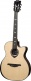 HyVibe 2 Serie 50 Auditorium Nylon Bevel CW 