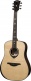 HyVibe 2 Serie 50 Dreadnought Bevel 