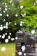 BF700 + Liquides