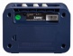 MINI LIONHEART 3W MINI AMP