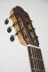 Torres 4/4 Rn Mahogany