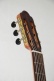 Torres 4/4 RN Palissandre