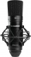 Air 192|4 Vocal Studio Pro