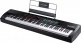 Hammer 88 Pro