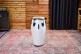 RS11PW - Artist Series Roberto Serrano Quinto 11