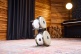 Artist Series Bongo Roberto Serrano, REMO® Fiberskyn Heads - 7
