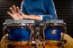 WKT400BW - Artist Series Bongo William 