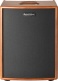 ACOUSTIC AMPLISHED ERA 400 W WOOD