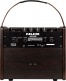 25 WATT ACOUSTIC AMP ON 2 CHANNEL BATTERY + EFFECTS