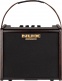 25 WATT ACOUSTIC AMP ON 2 CHANNEL BATTERY + EFFECTS