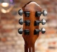 Forte Port Koa Gloss