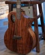 Forte Port Koa Gloss