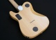 Hybrid 55 Tiger Eye Burst