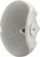 Evid 6.2 White (pair)