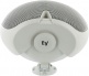 Evid 4.2 White (pair)