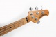 StingRay Special HH Oxblood