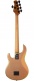 Dark Ray 5 Gold Bar