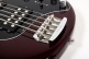 StingRay Special 5 HH Oxblood