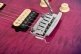 Axis Super Sport Trem Olallieberry Flame Top