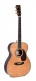 Serie Standard 000T-42 Etui Ssc-Om
