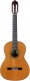 Mod.3 Glossy Cedar Top