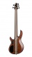 Basse A5 Ultra Frene Micros Fishman