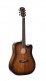 Guitare Core-Dc Acajou Black Burst