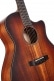 GUITARE CORE-GA BLACKWOOD L. BURST