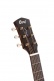 Guitare CORE-PE Acajou Black Burst