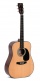 Dm-1 Natural Gloss