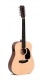 DM12E DREADNOUGHT