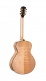 Guitare Gold-Passion Naturel Brill.