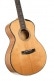 GUITARE GOLD-PASSION NATUREL BRILL.